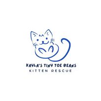 Kayla's Tiny Toe Beans Kitten Rescue