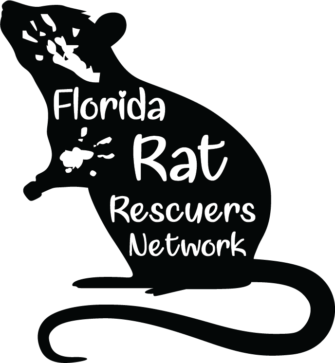 Florida Rat Rescuers Network