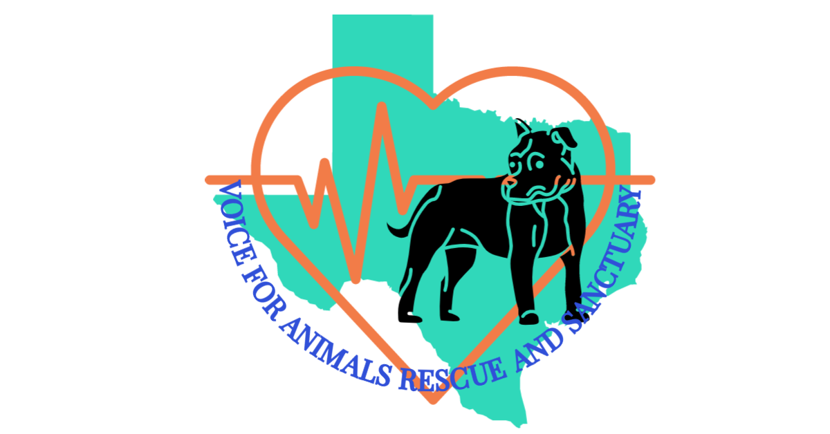 Voice for Animals Rescue and Sanctuary