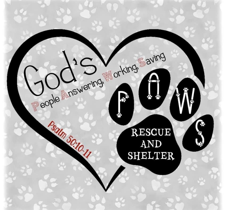 God’s PAWS Rescue and Shelter