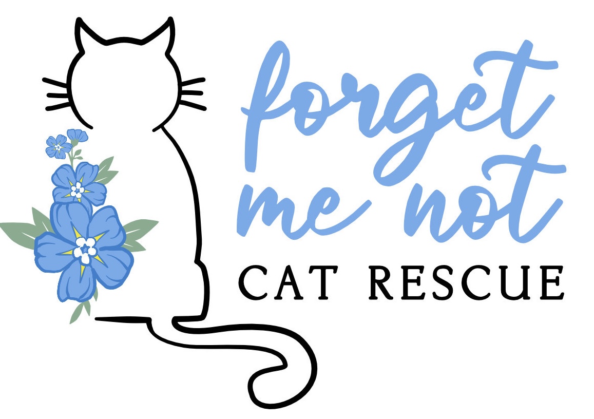 Forget Me Not Cat Rescue