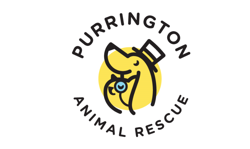 The Purrington Animal Rescue