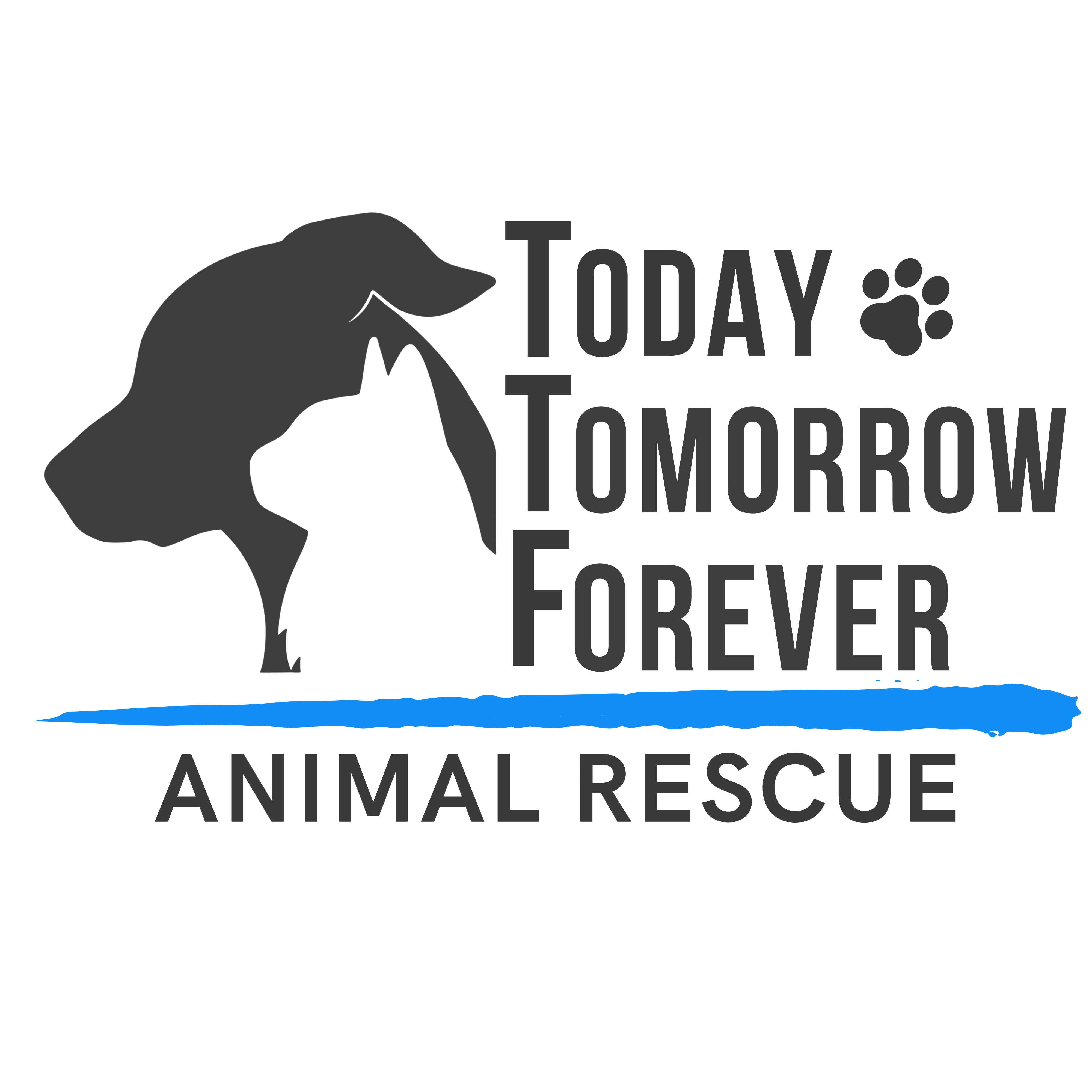 Today Tomorrow Forever Animal Rescue