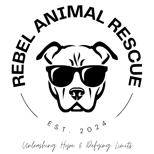 Rebel Animal Rescue