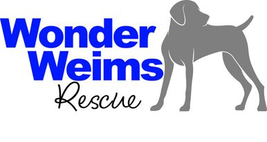 Wonder Weims Rescue