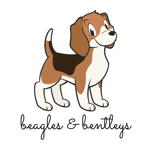 Beagles and Bentleys