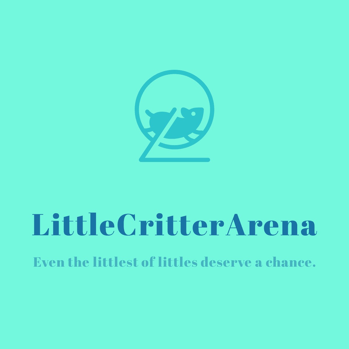 Little Critter Arena