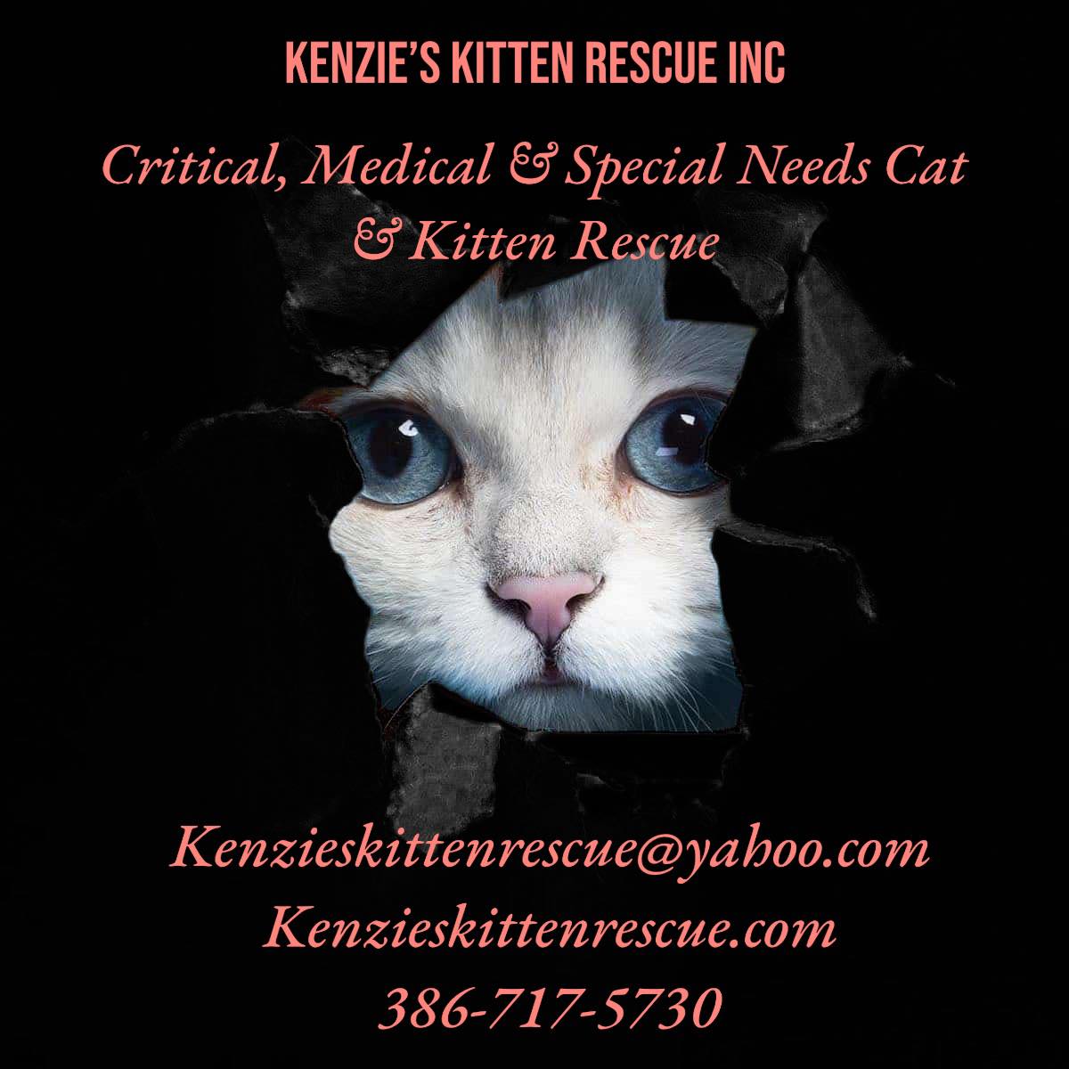 Kenzie's Kitten Rescue INC